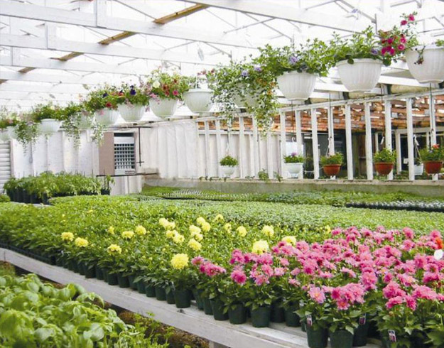 成都溫室大棚